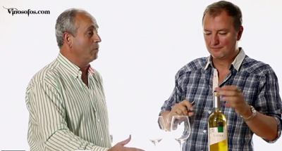 videocata vinosofos.com lecea chardonnay